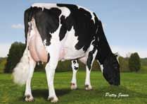 05-05 305 15 976 3,6% 583 3,4% 536 kg Celoživotně: 35 957 3,6% 1 299 3,5% 1 247 kg STARTMORE RUDOLPH WHITTIER-FARMS LEAD MAE-ET EX-95 08-07 305 16 942 4,7% 795 5,3% 562 kg Celoživotně: 57 589 4,3% 2