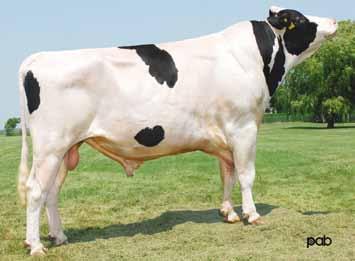 se zmiňovala u předešlých býků. Býk je na 11. místě v TOP LPI. Matkou MATHYSe je kráva Fleury Emerson MELINE. Kráva s vynikající produkcí mléka. Max. užitkovosti dosáhla na 5.