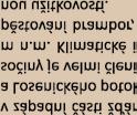 Chov skotu má prioritu V dlouhodobé koncepci rozvoje družstva má klíčové postavení chov skotu a výroba mléka.