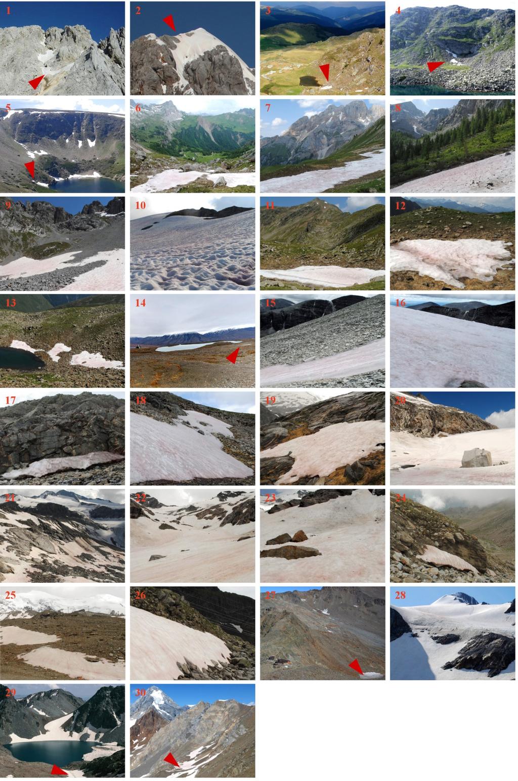 Obr. 25: Fotografie lokalit sběru vzorků sněžných