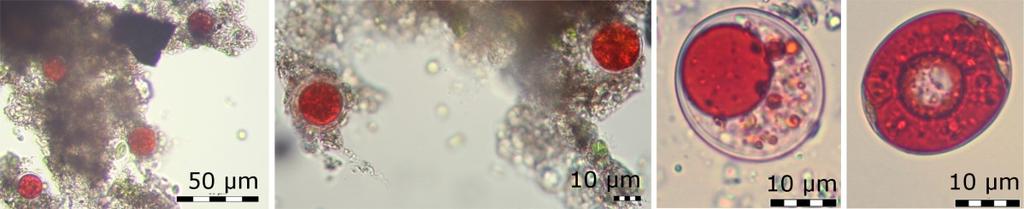 15 -