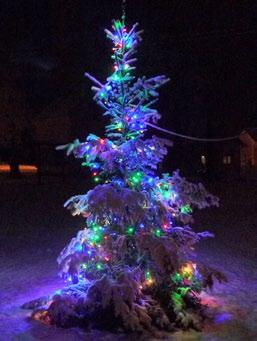 Opět jsme se zde sešli a strávili společně příjemné adventní odpoledne.