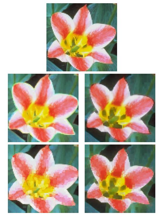 Obrázek 26 - původní obraz, obraz dilatovaný a obraz erodovaný čtvercovým elementem 3x3 (RGB) Částečné uspořádání (partial ordering) V tomto řadícím schématu jsou barevné vektory seskupeny do různých