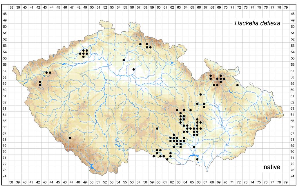 Distribution of Hackelia deflexa in the Czech Republic Author of the map: Karel Kubát Map produced on: 06-02-2018 Database records used for producing the distribution map of Hackelia deflexa