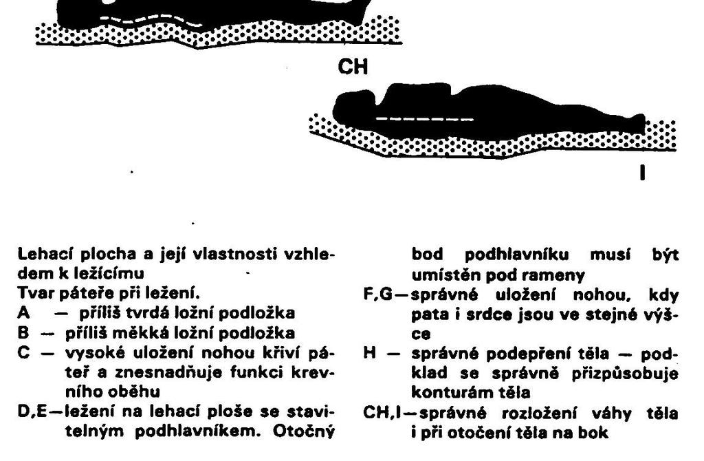 ležení