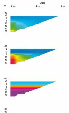 stratifikace