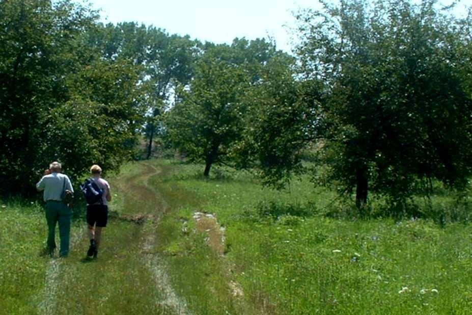Ve středu 29.