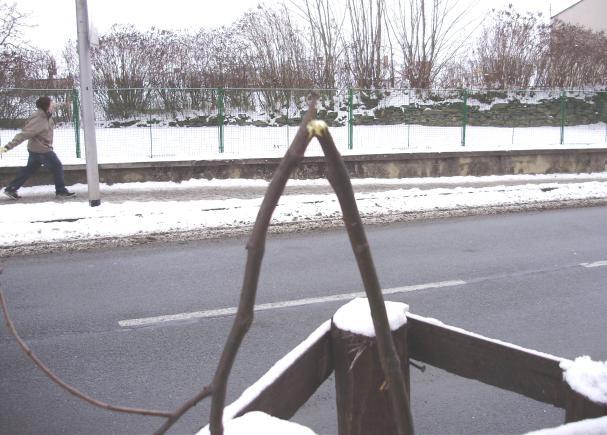 15) Z událostí 2009 * V pondělí 12.
