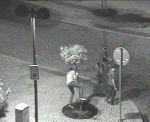 * Díky kamerám se šternberským stráţníkům podařilo v noci ze soboty na neděli 23.