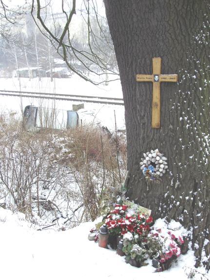 RZ), nebo které je zjevně trvale technicky nezpůsobilé k provozu. Zde platí povinnost vyvěsit výzvu k odstranění vraku po dobu 2 měsíců na úředních deskách MěÚ.