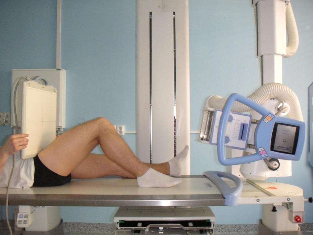 zařízení bioreometru v laboratoři mateřského pracoviště, byly definovány vlastní parametry hodnocení radiologické části experimentární studie.