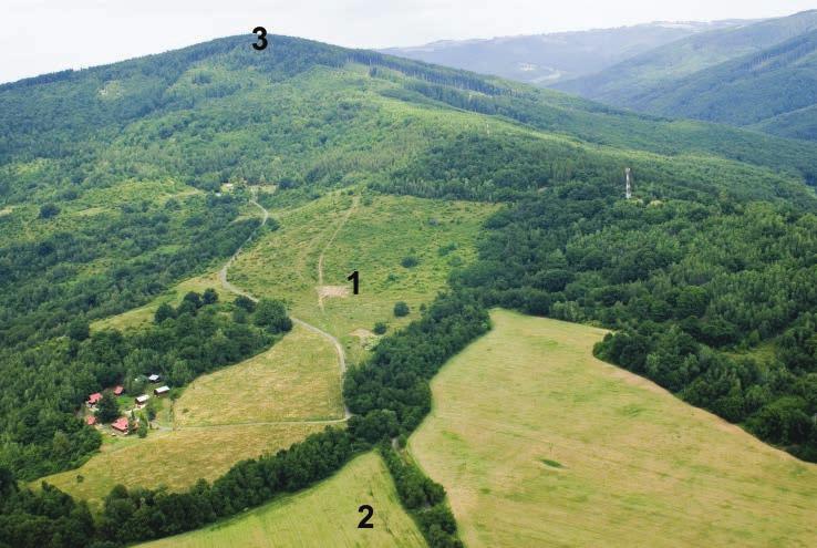 POHŘEBIŠTĚ LIDU POPELNICOVÝCH POLÍ PŘEDMĚTEM ZÁJMU KELTŮ 101 kultury v Sklabinském Podzámku, okr. Martin (Horňák 2005, 210 211, tab. IV: 3, 5, 8).