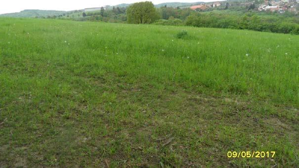 Znalecký úkon je zapsaný pod pořadovým číslem 6355 85/2017 znaleckého deníku. Znalečné a úhradu nákladů účtuji podle připojené likvidace na základě dokladu číslo 85/17. D.