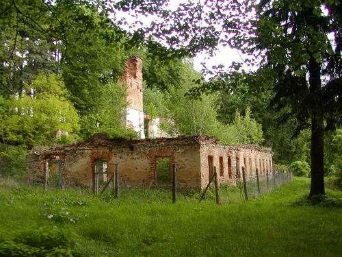 29. Tzv.