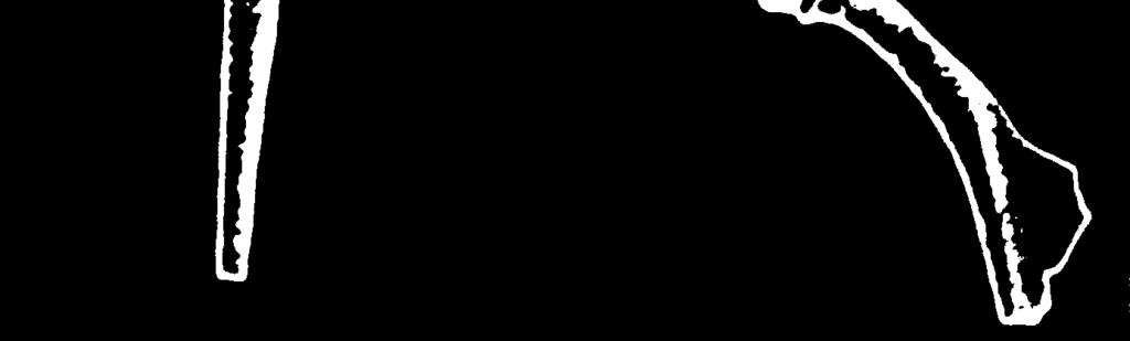 obr. 7: 2 3).
