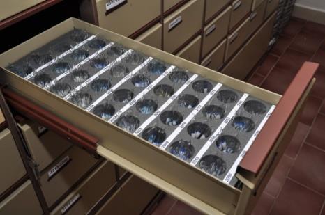 informace) Servisní činnost (volitelná) - servisní kryokonzervace - rozbory vzorků - typizace a identifikace - taxonomické analýzy - poradenská činnost