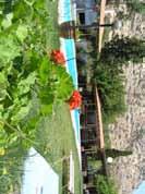 dítě do 5 let jen za 99 Kč konečná cena včetně snídaně Hotel Matala Bay *** Hotel s nově zrekonstruovanými pokoji uspokojí klienty, kteří vyhledávají komfortnější ubytování v klidném jižním letovisku