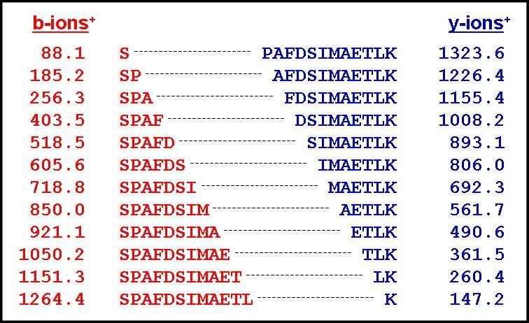 S-P-A-F-D-S-I-M-A-E-T-L-K