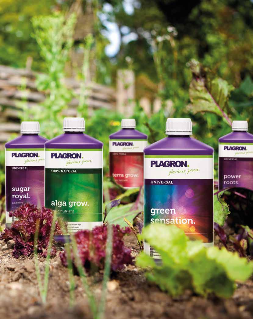 Plagron je spolehlivý výrobce a celosvětový dodavatel vysoce kvalitních produktů. Podnik udávající tón v oblasti široké škály substrátů, hnojiv a přísad.