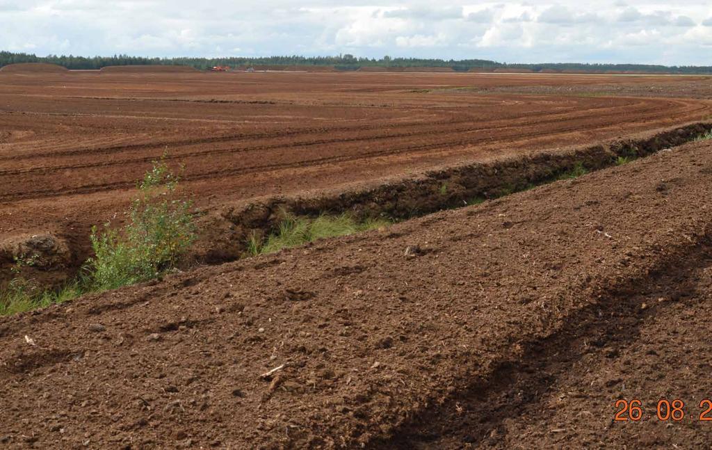 TÉMA Původ našich rašelin Rašelina, kterou Plagron používá v květináčových zeminách, pochází z rašelinových polí z Estonska.