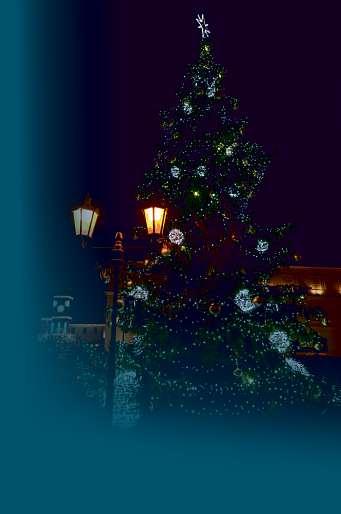 22 23. listopadu 2018 Náš kraj CHRISTMAS NIGHT RUN Prokešovo náměstí, Ostrava, 8. prosince Netradiční vánoční běžecký závod zavítá do Ostravy iletos. Start jenaprokešově náměstí v17hodin, ato8.