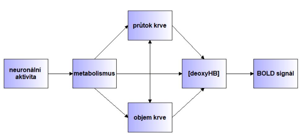 Princip vzniku BOLD signálu jako nepřímého ukazatele neuronální aktivity je naznačen blokovým schématem na obrázku 1.6 na straně 18.