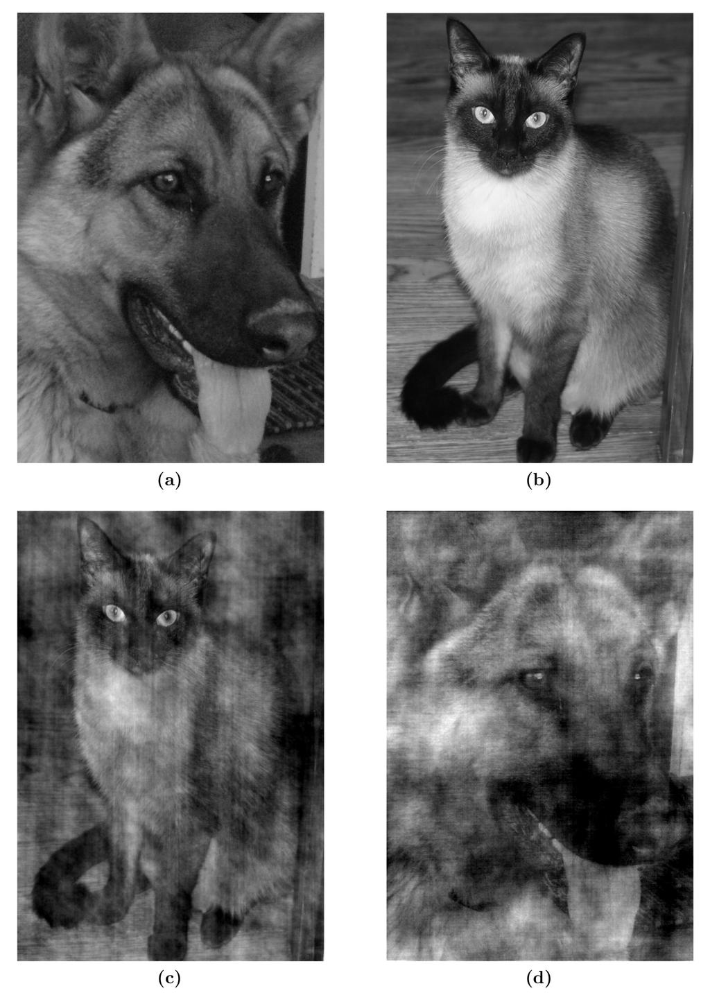 Matrix Completion Data Separation MRI Phase retrieval Vým na fáze