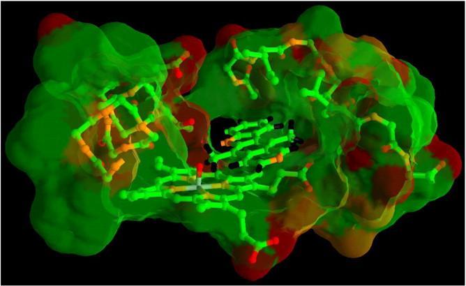 5.4.2 Mechanismus oxidace ellipticinu katalyzované cytochromy P450 Jak bylo pojednáno výše, ellipticin je cytochromy P450 oxidován na pět metabolitů, 7-hydroxyellipticin, 9-hydroxyellipticin,
