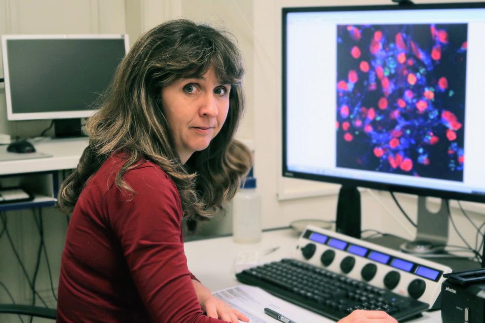 Pracovníci 3.7. Laboratoř studia interakcí buněk s materiálem doc. RNDr. Marie Hubálek Kalbáčová, Ph.D. vedoucí laboratoře Mgr. Pavla Sauerová Mgr. Lucie Vrabcová (Ostrovská) Bc.