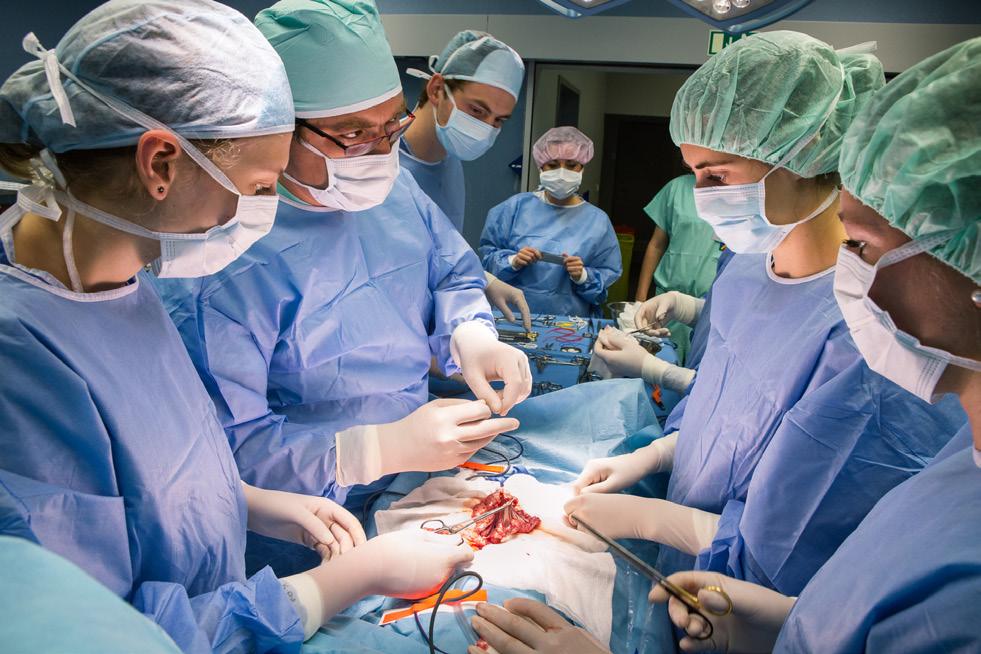 chirurgie (4. 22. 7. 2016) MUDr.