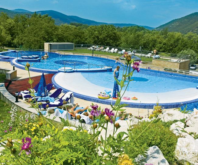 Vybavení pokojů: koupelna, WC, župan, fén, rádio, telefon, Wi-Fi, SAT-TV, trezor, mini-bar, balkon s výhledem na park nebo na Dunaj.