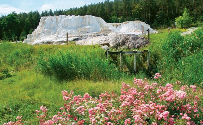 Termální voda vyvěrající z hloubky 426 m o teplotě 65 68 C vytvořila ojedinělé vápencové usazeniny solný kopec, který je charakteristický pro své okolí.