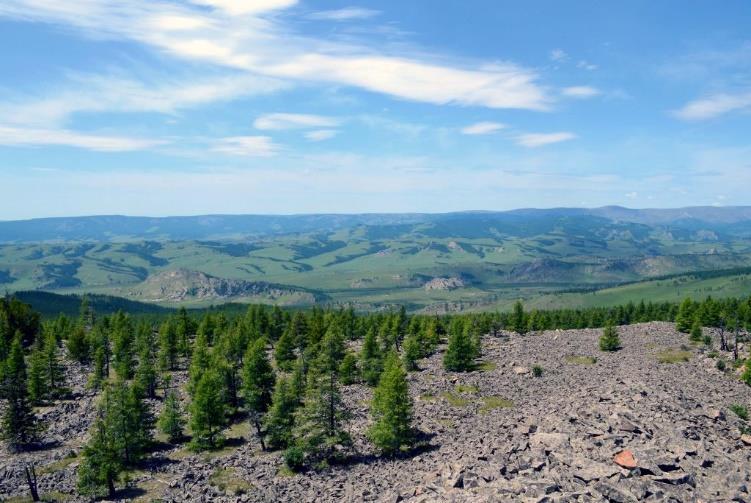 Obrázek 4 Kamenná moře poskytují eluviální substrát pro rozvoj modřínových monocenóz, Dzum bayan, Mongolsko (foto: Krejčíř D., expedice Scientific research of Mongolia 2013 ) Spraše a sprašové hlíny.