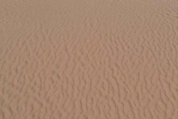 7 Desertifikace Poušť Gobi představuje jednu z největších pouští světa, která zabírá oblast Střední Asie, z větší části Mongolska a Číny.