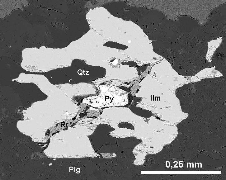 V nábrusu pararuly z Čejova byl nalezen pouze oxid Fe neobsahující Ti (hematit nebo magnetit) prorostlý s biotitem.