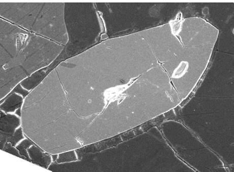 thorit), jehoţ tloušťka zpravidla blízká 20 μm odpovídá zóně silného poškození krystalů ozářením, byla prezentována na dvou českých konferencích (Procházka 2007b, 2008a), jedné mezinárodní konferenci