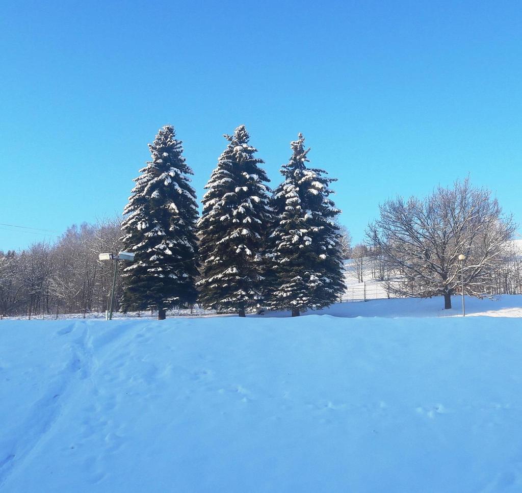 ŠKOLNÍ Školní drbna DRBNA 20. 12.