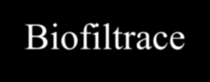 Biofiltrace Pracuje na principu biofilmu, který pokrývá částice materiálu použitého jako náplň biofiltru.