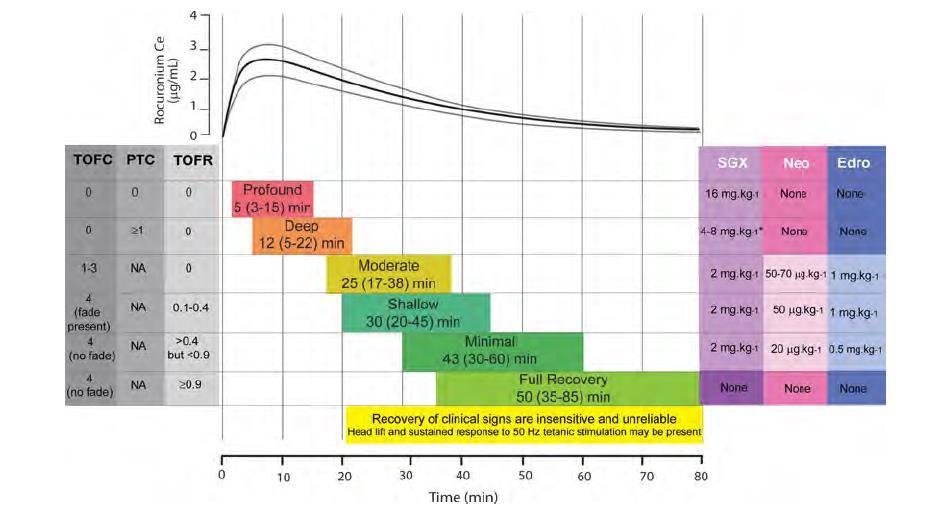 Rocuronium recovery chart Suga