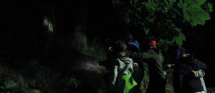 3 3 rostliny: Bršlice, krabilice, kerblík s pomocí atlasu urči, která je jedlá (3 b) bršlice kozí noha 4 Najdi 3-5 různých jedlých rostlin na louce, oblož a ozdob si namazaný chléb.