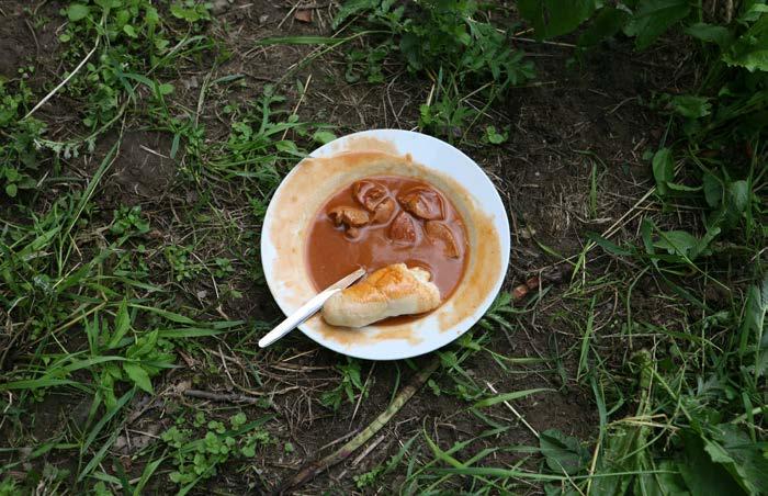60 SOUTĚŽNÍ STEZKA SOUTĚŽNÍ STEZKA 61 5 Tvrdý luh, co to je, jeho režim, kdy u nás vznikl a proč (2 b) Tvrdý luh je typ nížinného lužního lesa, kde dominují stromy s tvrdým dřevem, hlavně duby,