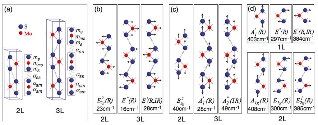 Základní buňka 2L-MoS2 obsahuje 6 atomů 4 atomy síry a 2 atomy molybdenu, čemuž odpovídá 18 normálních vibrací a náleží bodové grupe D 6h.