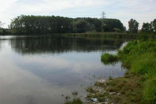 Olšanský rybník Vzorek 5