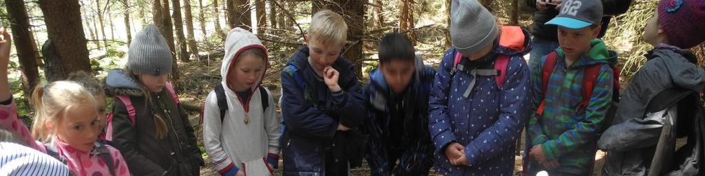 11. Environmentální výchova, vzdělání a osvěta Environmentální výchova byla součástí všech předmětů, důraz byl kladen na utváření osobnosti člověka, který by měl chápat a dodržovat základní