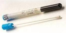 Grampozitivní koky Bacitracin/PYR test Pozitivní Skupina A (S. pyogenes) Negativní CAMP test Negativní Tzv. Non-A-non-B streptokoky (rozlišení dále latexovou aglutinací) Pozitivní Skupina B (S.