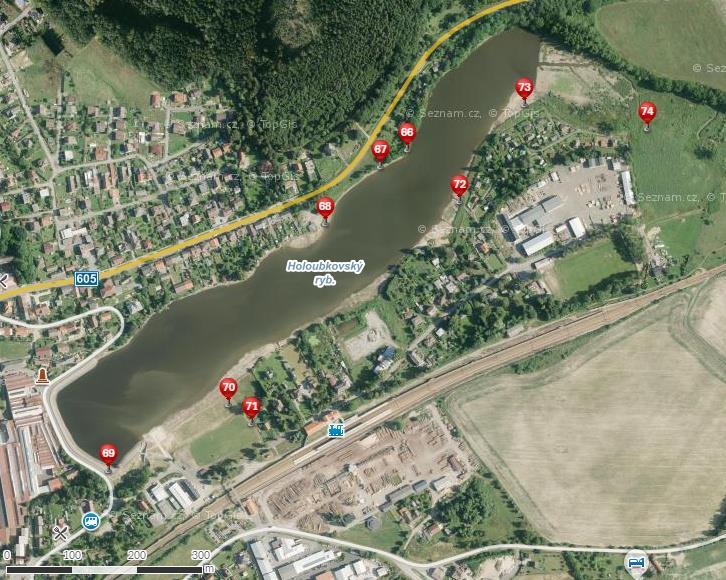 2METODIKA Lokalita 65 GPS souřadnice: 49 47'6.542"N, 13 43'58.131"E Datum sběru: 27. 7. 2015 Poloha: Lokalita se nachází na severovýchodním břehu Podmýtského rybníka.