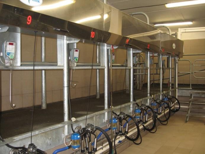 3. MINIMALIZACE MIKROBIÁLNÍ KONTAMINACE MLEZIVA PŘI JEHO ZÍSKÁVÁNÍ a) příprava na dojení mleziva I před získáváním mleziva, tak jako před každým dojením,