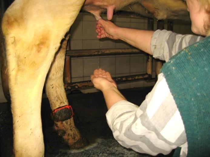 c) kontrolní odstřiky a pre - dipping Důkladně odstříkněte
