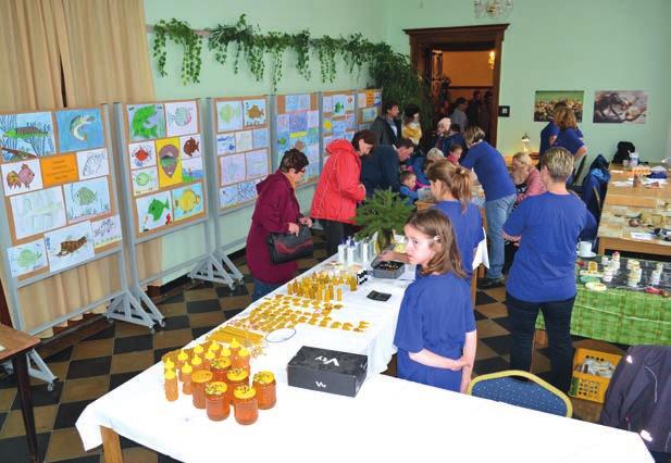 V zámeckém parku obohatil program pan Vít Jelínek se svojí ukázkou sokolnictví.
