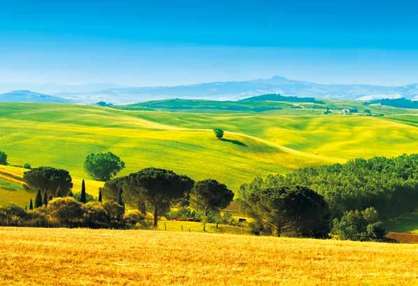 Toskánsko ITÁLIE Toskánsko ostrov Elba Marina di Massa Calambrone Livorno Castiglioncello Marina di Bibbona Ostrov Elba Marina di Pietra Santa Pisa Florencie Rezidence BORGO AL CERRO»
